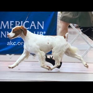 Meet your Posher, Lynn